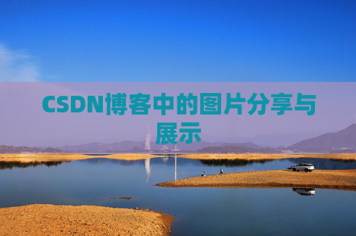 CSDN博客中的图片分享与展示